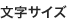 文字サイズ