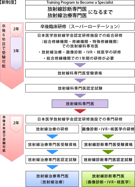 日本医学放射線学会の研修システム