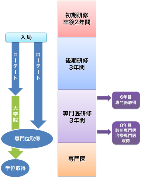 当科における研修システムの概要